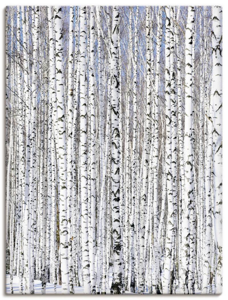 Artland Wandbild »Winterbirkenwald Wintergelassenheit«, Bäume, (1 St.) von Artland