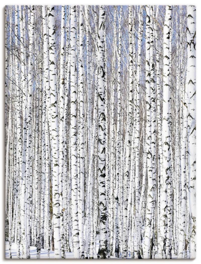 Artland Wandbild »Winterbirkenwald Wintergelassenheit«, Bäume, (1 St.), als Leinwandbild, Poster in verschied. Grössen von Artland