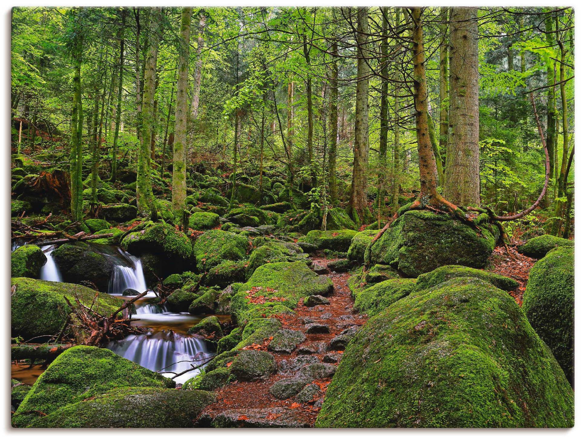 Artland Wandbild »Zauberwald«, Wald, (1 St.) von Artland