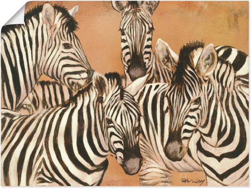 Artland Wandbild »Zebras«, Wildtiere, (1 St.), als Leinwandbild, Poster in verschied. Grössen von Artland