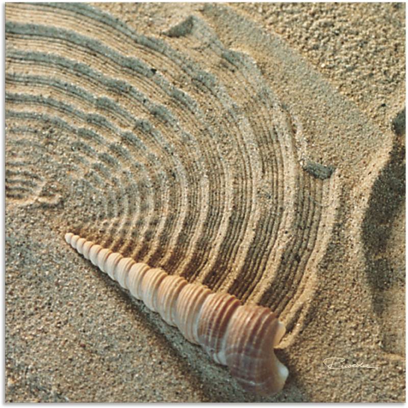 Artland Wandbild »Zen IV - Muschel im Sand«, Zen, (1 St.), als Alubild, Outdoorbild, Leinwandbild in verschied. Grössen von Artland