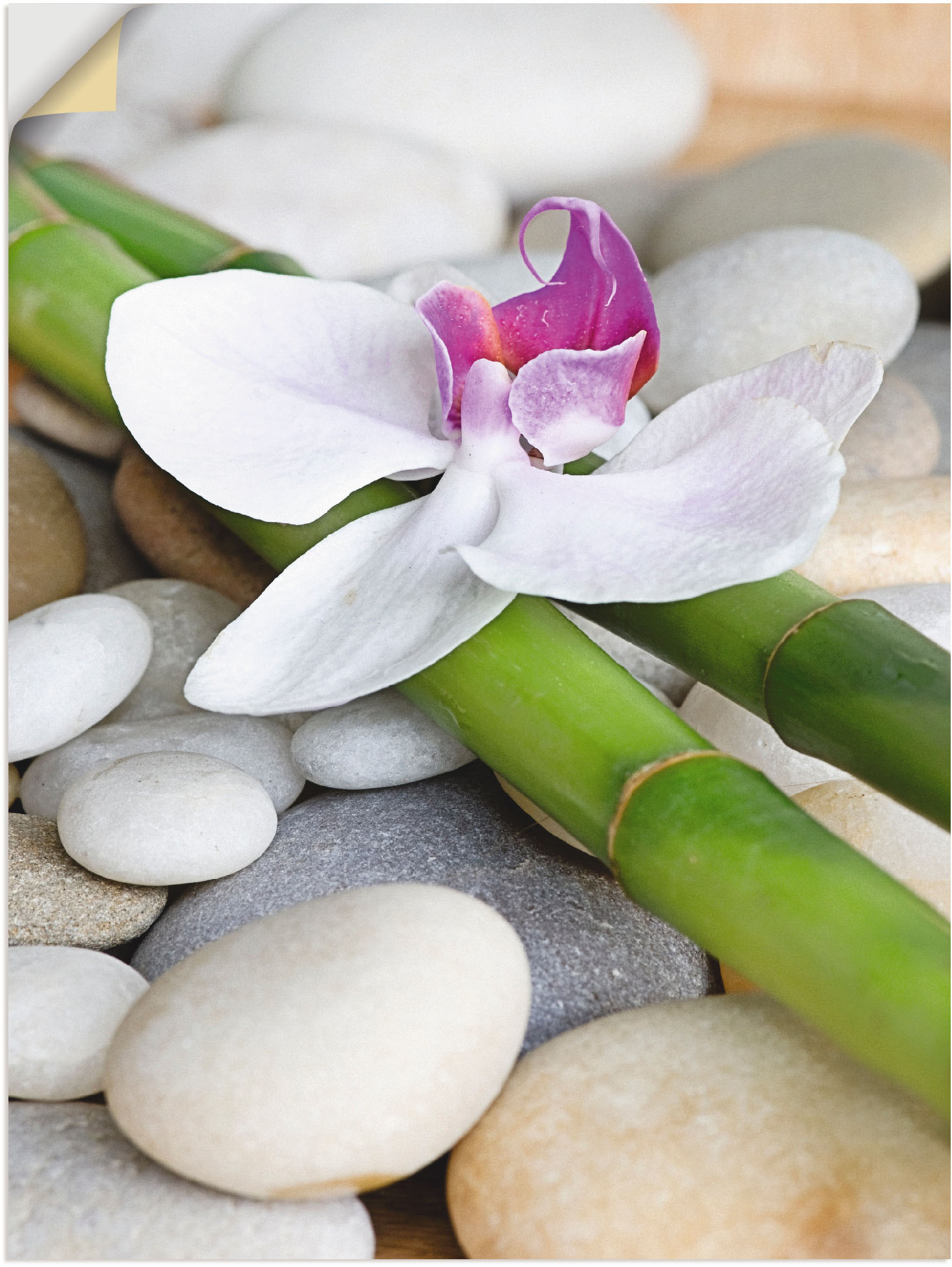 Artland Wandbild »Zen Orchidee«, Zen, (1 St.) von Artland