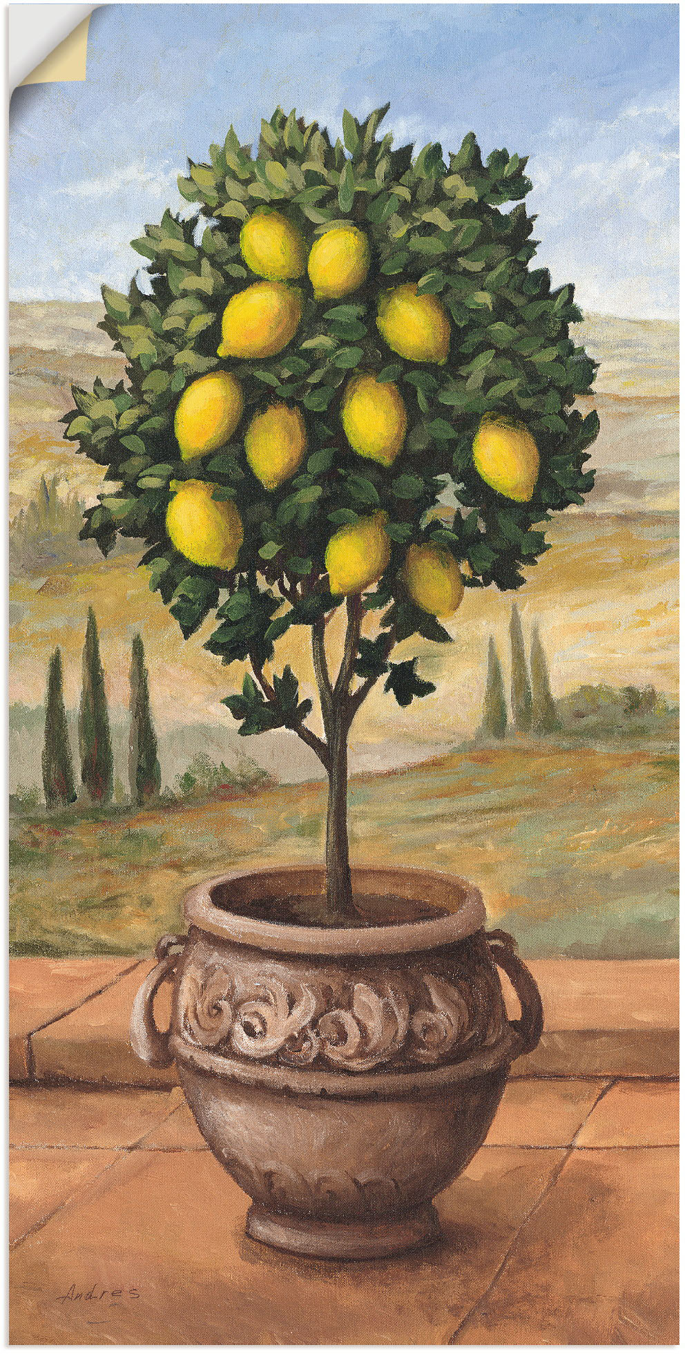 Artland Wandbild »Zitronenbaum«, Bäume, (1 St.), als Leinwandbild, Wandaufkleber in verschied. Grössen Artland Wandbild »Zitronenbaum«, Bäume, (1 St.), als Leinwandbild, Wandaufkleber in verschied. Grössen von Artland