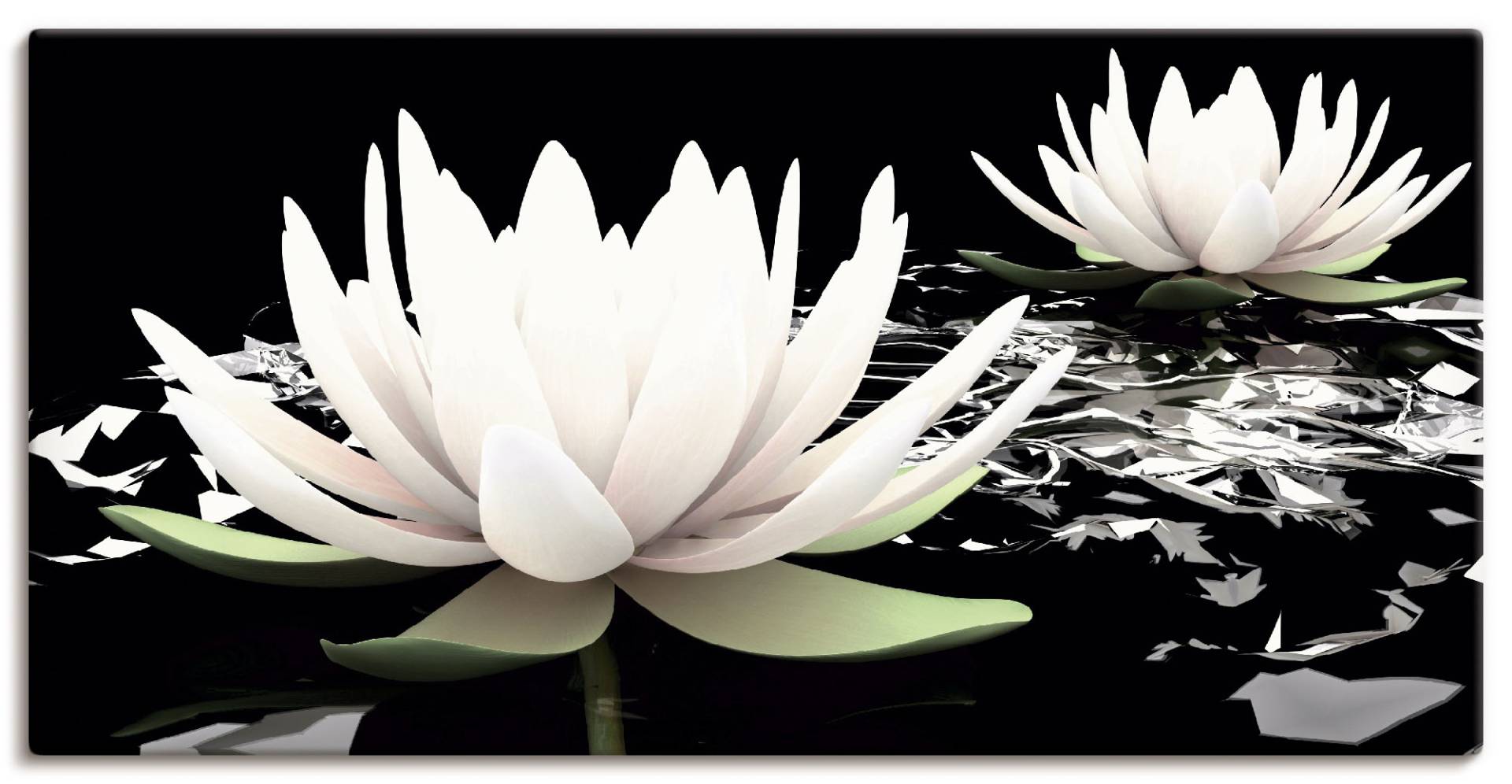 Artland Wandbild »Zwei Lotusblumen auf dem Wasser«, Blumen, (1 St.) von Artland