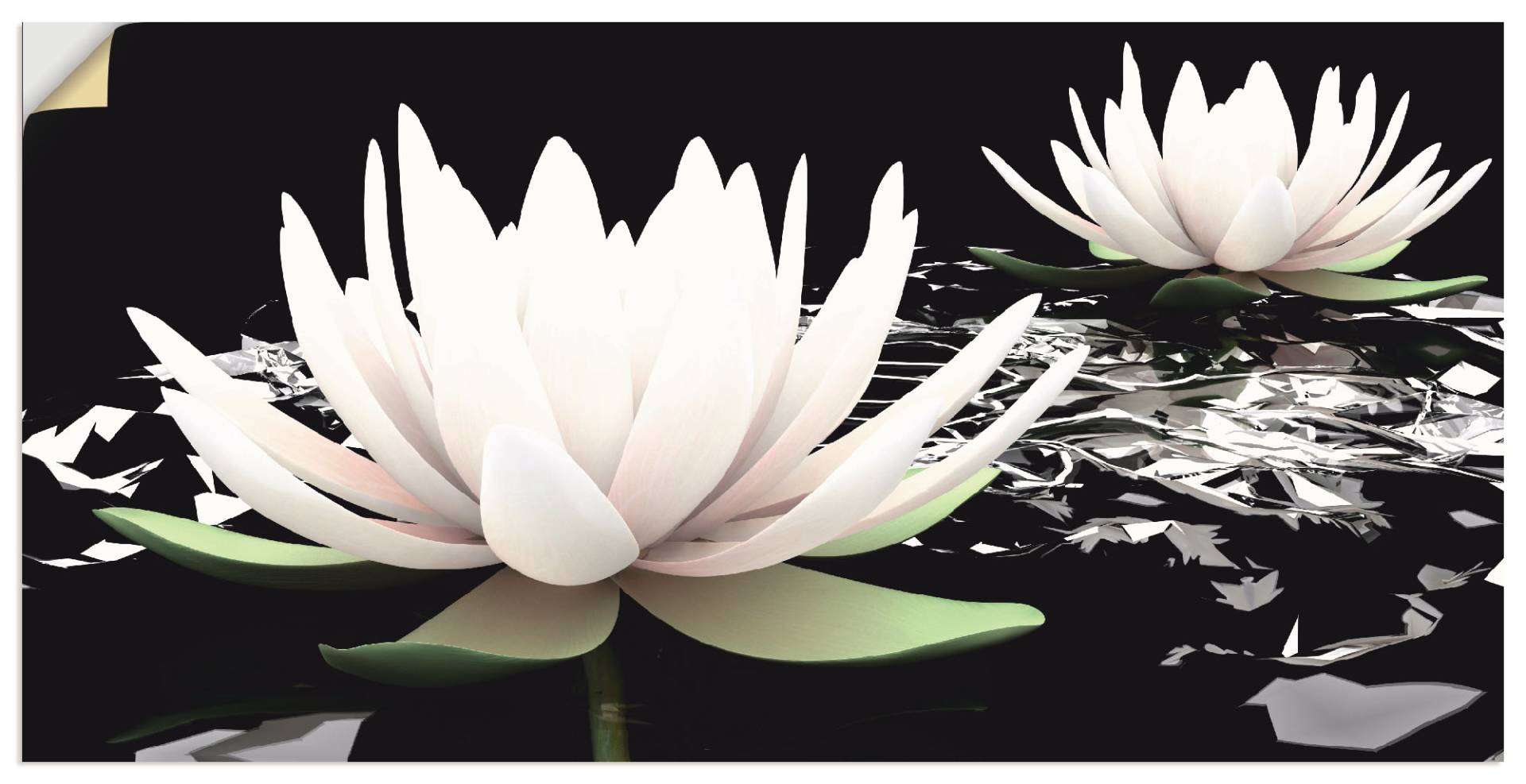 Artland Wandbild »Zwei Lotusblumen auf dem Wasser«, Blumen, (1 St.), als Alubild, Outdoorbild, Leinwandbild, Poster, Wandaufkleber Artland Wandbild »Zwei Lotusblumen auf dem Wasser«, Blumen, (1 St.), als Alubild, Outdoorbild, Leinwandbild, Poster, Wandaufkleber von Artland
