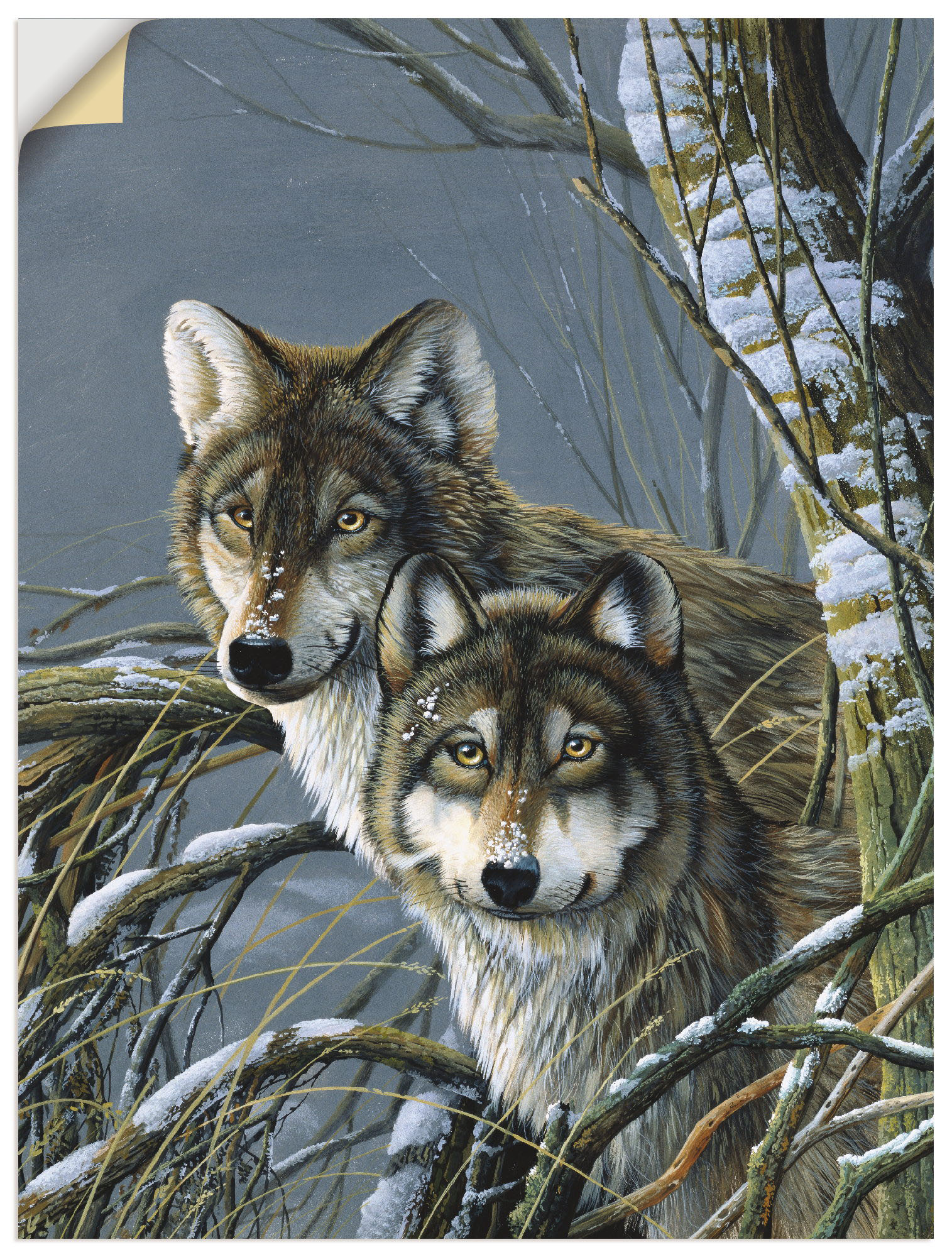 Artland Wandfolie »Zwei Wölfe«, Wildtiere, (1 St.) von Artland