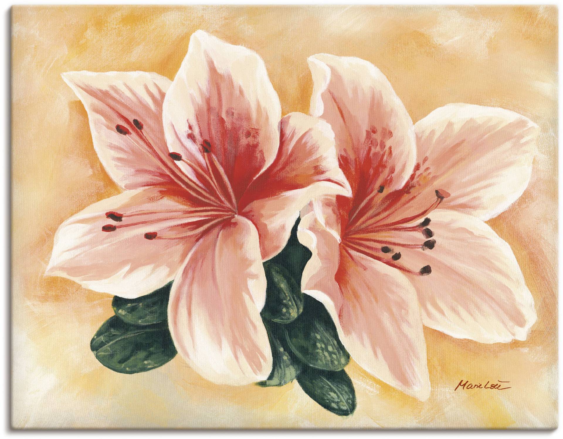 Artland Wandbild »lachsfarbene Lilien«, Blumen, (1 St.), als Alubild, Outdoorbild, Leinwandbild, Wandaufkleber, versch. Grössen Artland Wandbild »lachsfarbene Lilien«, Blumen, (1 St.), als Alubild, Outdoorbild, Leinwandbild, Wandaufkleber, versch. Grössen von Artland