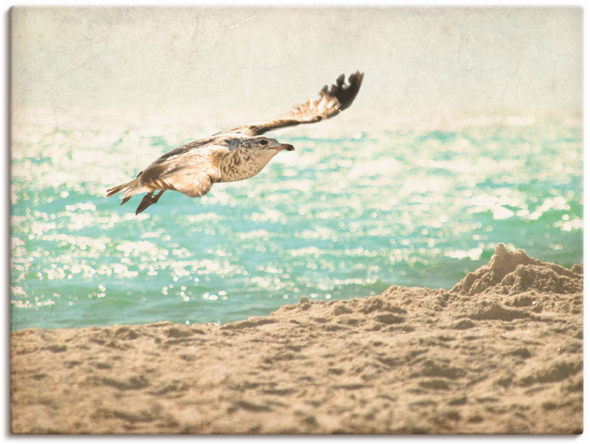Artland Wandfolie »Der Flug der Möwe«, Vögel, (1 St.), selbstklebend von Artland
