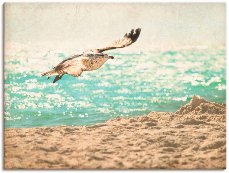 Artland Wandfolie »Der Flug der Möwe«, Vögel, (1 St.), selbstklebend von Artland