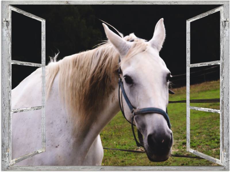 Artland Wandfolie »Fensterblick - weisses Pferd«, Haustiere, (1 St.), selbstklebend von Artland