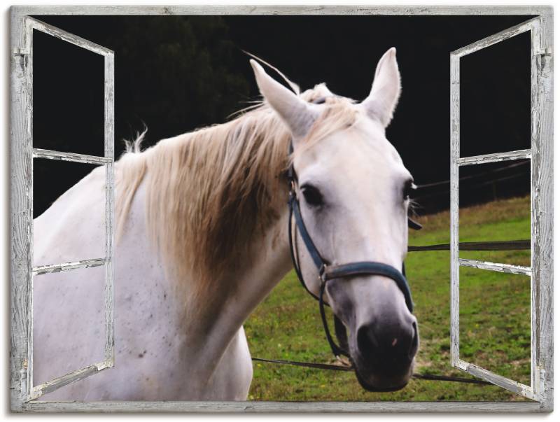Artland Wandfolie »Fensterblick - weisses Pferd«, Haustiere, (1 St.), selbstklebend von Artland