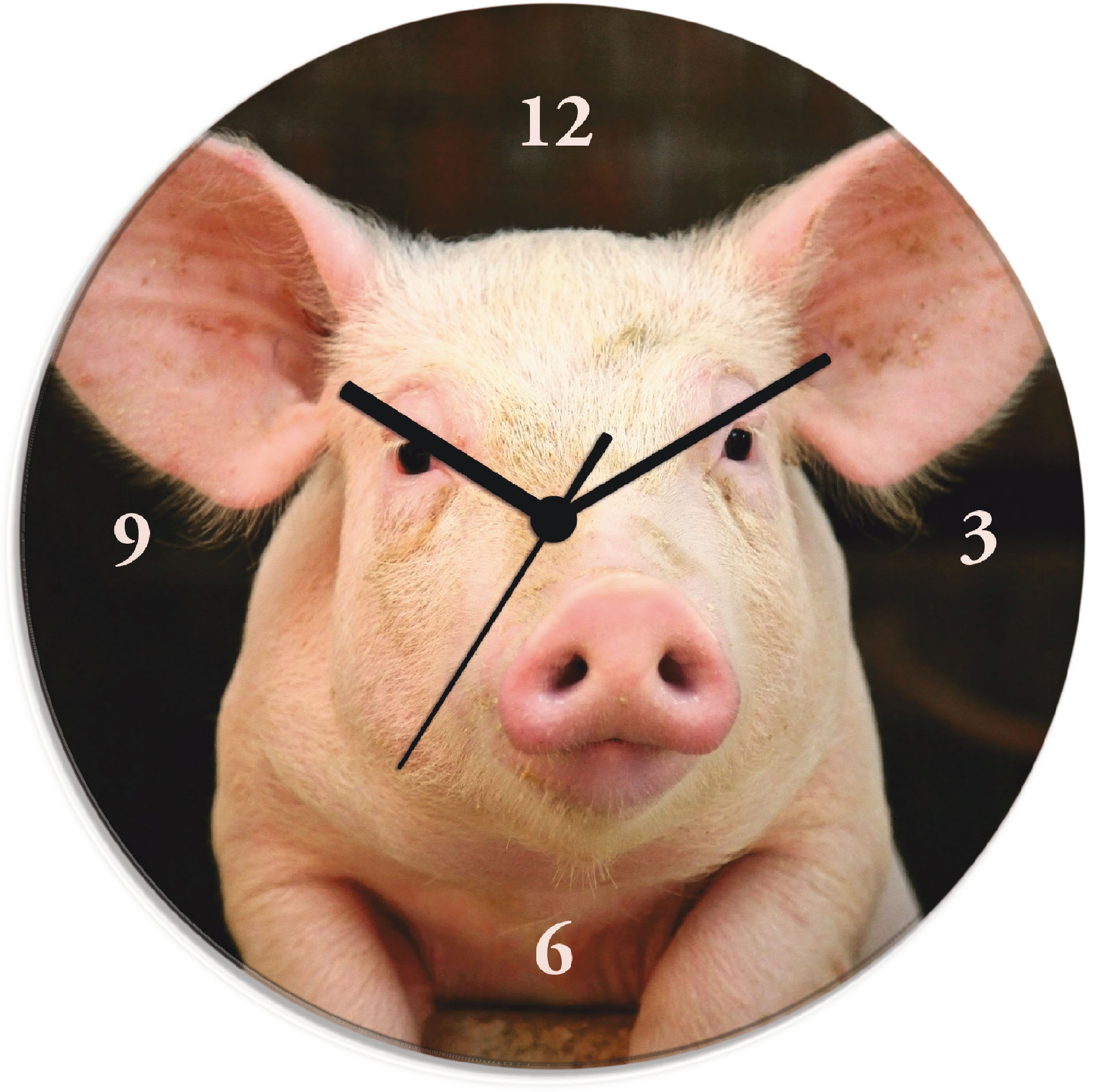 Artland Wanduhr »Vorwitziges Schwein«, wahlweise mit Quarz- oder Funkuhrwerk, lautlos ohne Tickgeräusche Artland Wanduhr »Vorwitziges Schwein«, wahlweise mit Quarz- oder Funkuhrwerk, lautlos ohne Tickgeräusche von Artland