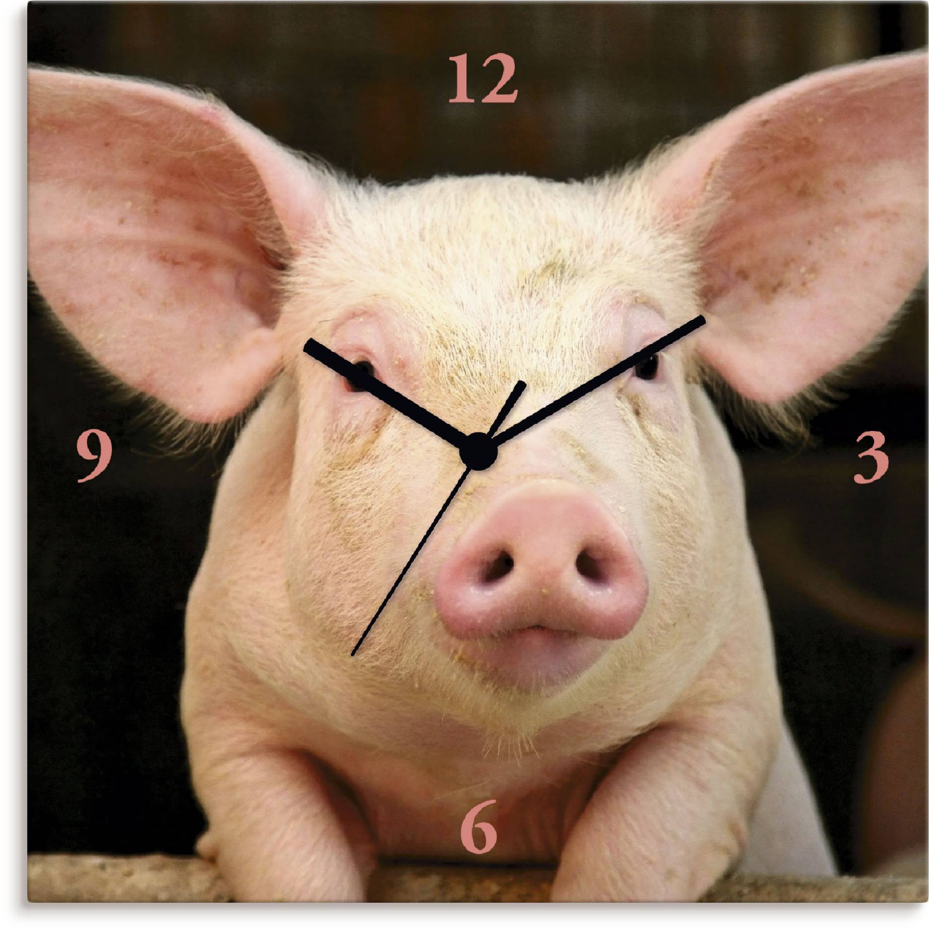 Artland Wanduhr »Vorwitziges Schwein« von Artland