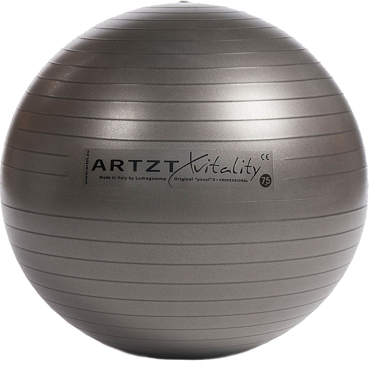 Artzt vitality Fitness-Ball Professional von Artzt Vitality