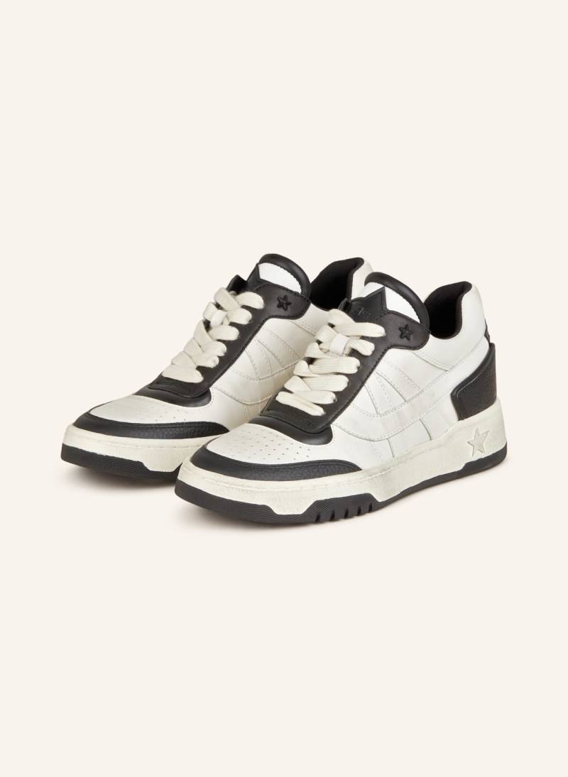 Ash Sneaker Blake schwarz von Ash