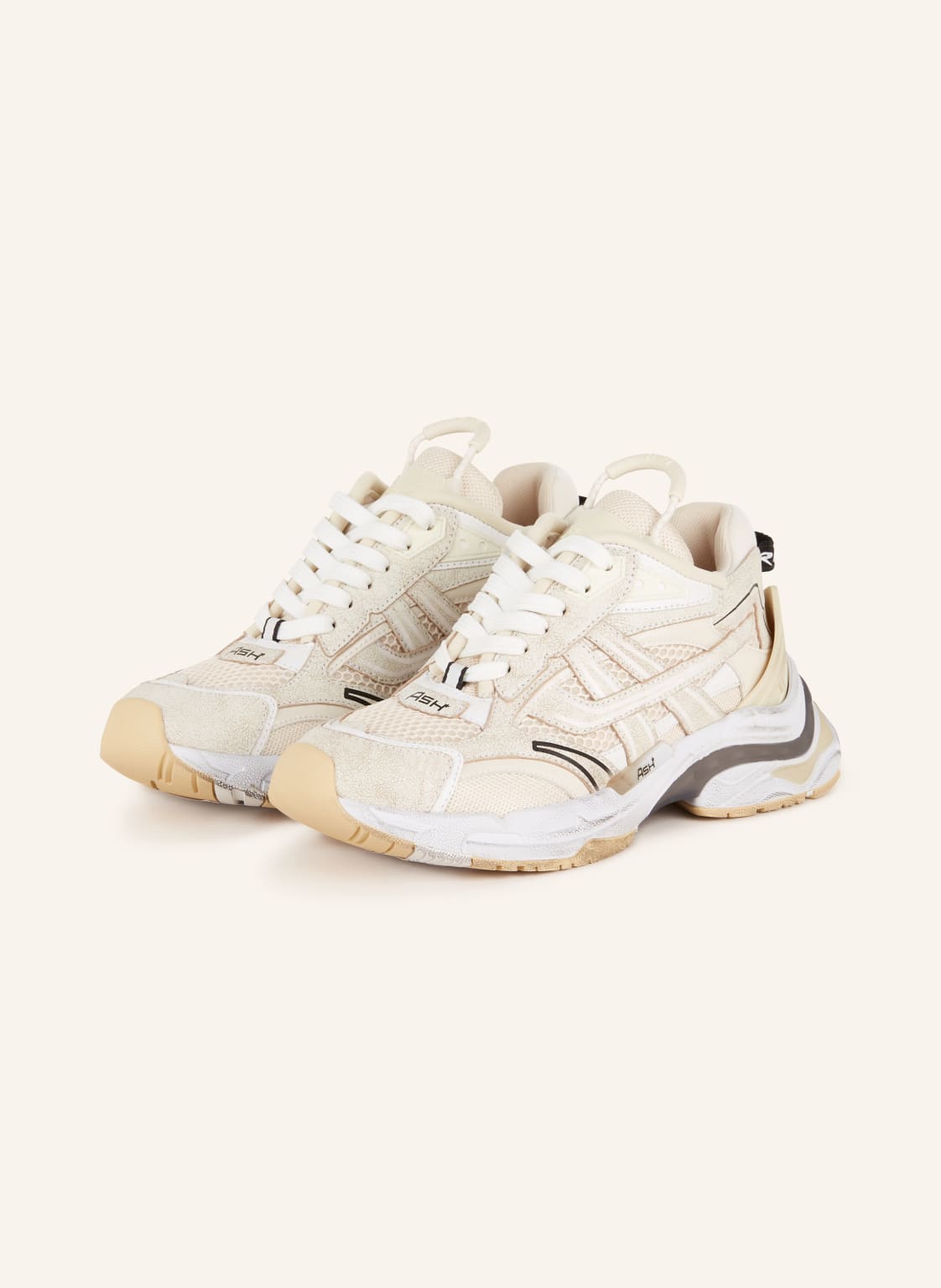 Ash Sneaker Race beige von Ash