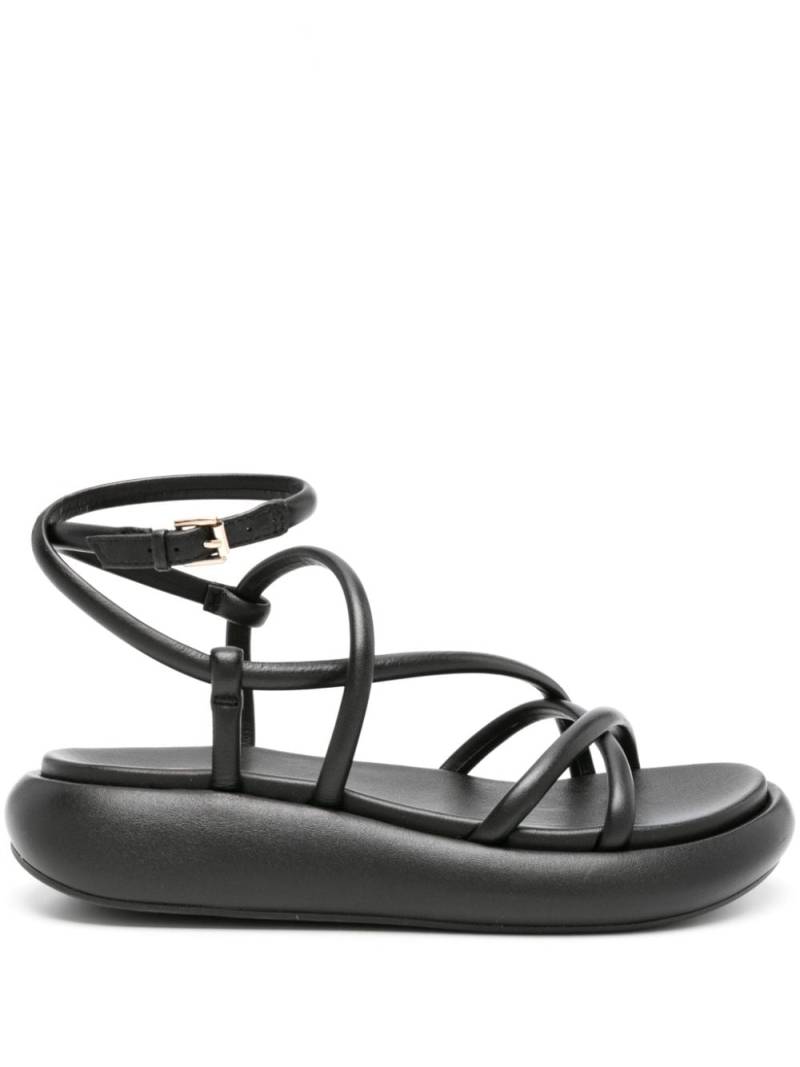 Ash Vice leather sandals - Black von Ash