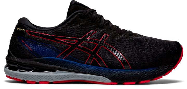 Asics Gt-2000 GTX 10 Runningschuhe grau von Asics