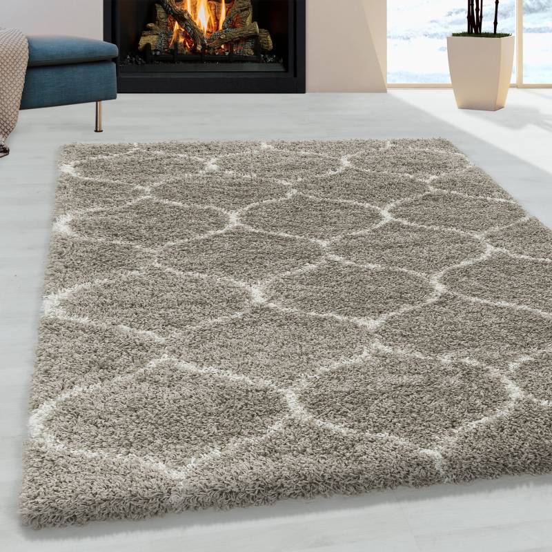 Ayyildiz Teppiche Hochflor-Teppich »SALSA 3201«, rechteckig, 50 mm Höhe, auch in rund, Pflegeleicht / Strapazierfähig / Shaggy/ Wohnzimmer von Ayyildiz Teppiche