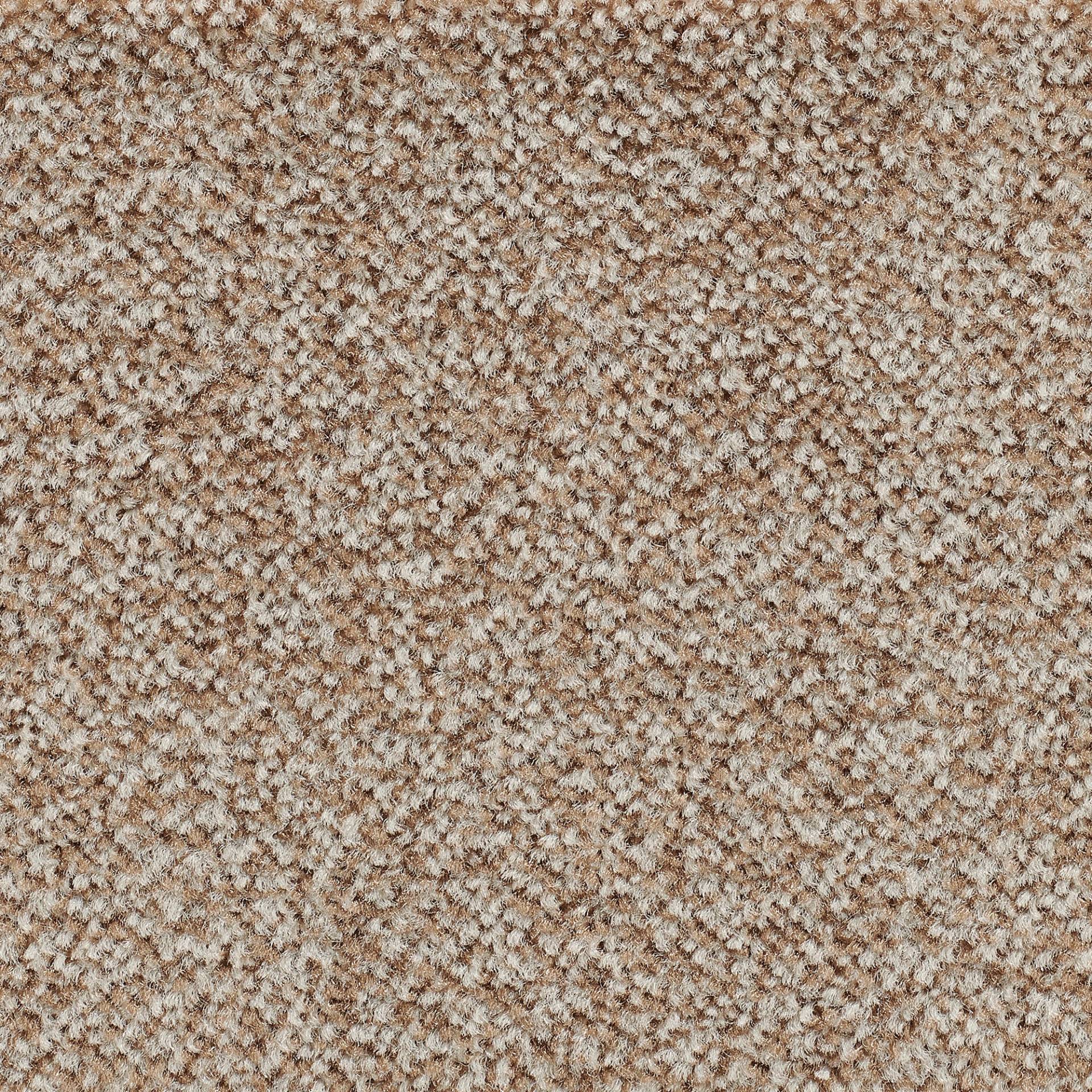 Bodenmeister Teppichboden »Juno, Velours - meliert«, rechteckig, 8,5 mm Höhe, Wohnzimmer, Schlafzimmer, Kinderzimmer, Breite 400/500 cm Bodenmeister Teppichboden »Juno, Velours - meliert«, rechteckig, 8,5 mm Höhe, Wohnzimmer, Schlafzimmer, Kinderzimmer, Breite 400/500 cm von Bodenmeister