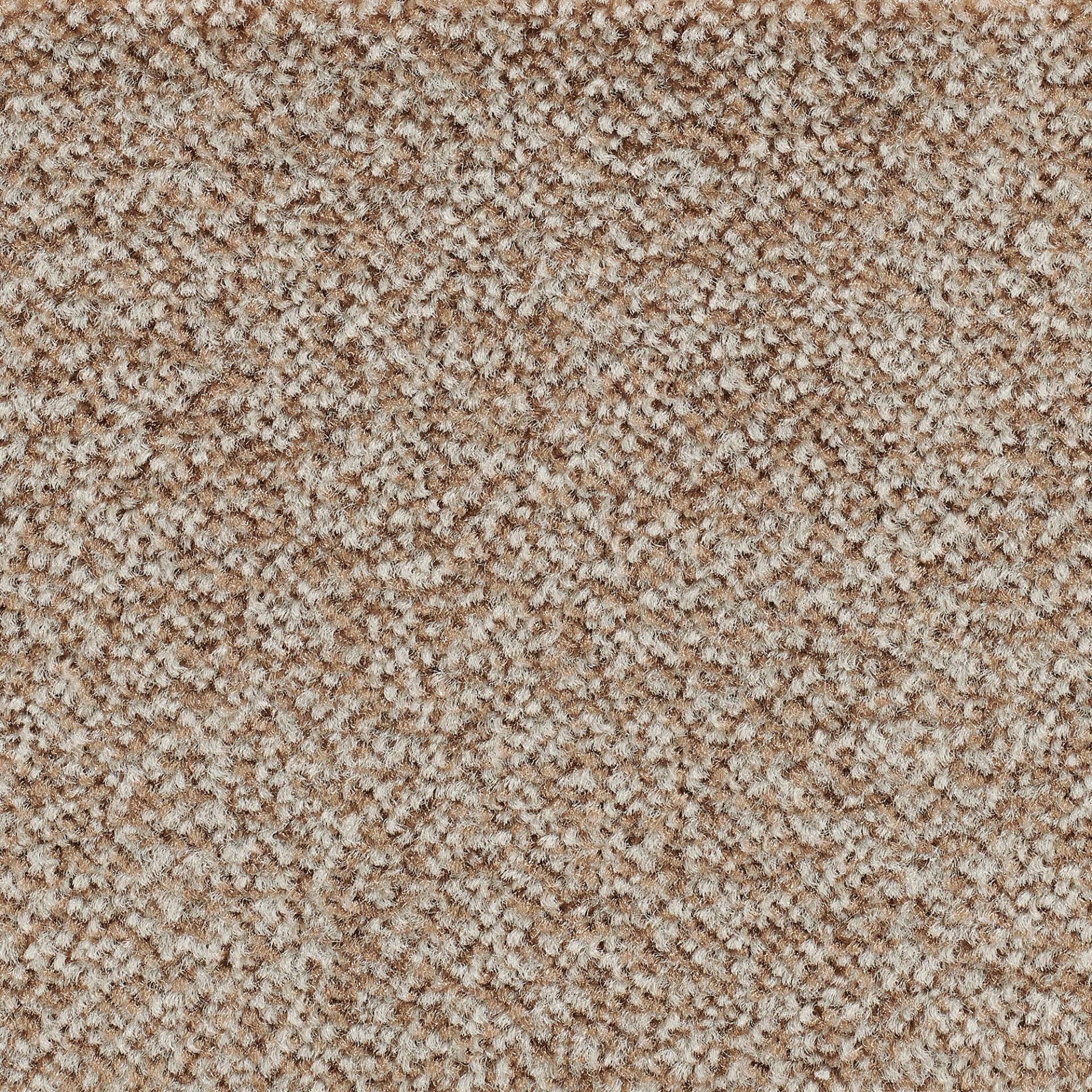 Bodenmeister Teppichboden »Juno, Velours - meliert«, rechteckig, 8,5 mm Höhe, Wohnzimmer, Schlafzimmer, Kinderzimmer, Breite 400/500 cm Bodenmeister Teppichboden »Juno, Velours - meliert«, rechteckig, 8,5 mm Höhe, Wohnzimmer, Schlafzimmer, Kinderzimmer, Breite 400/500 cm von Bodenmeister