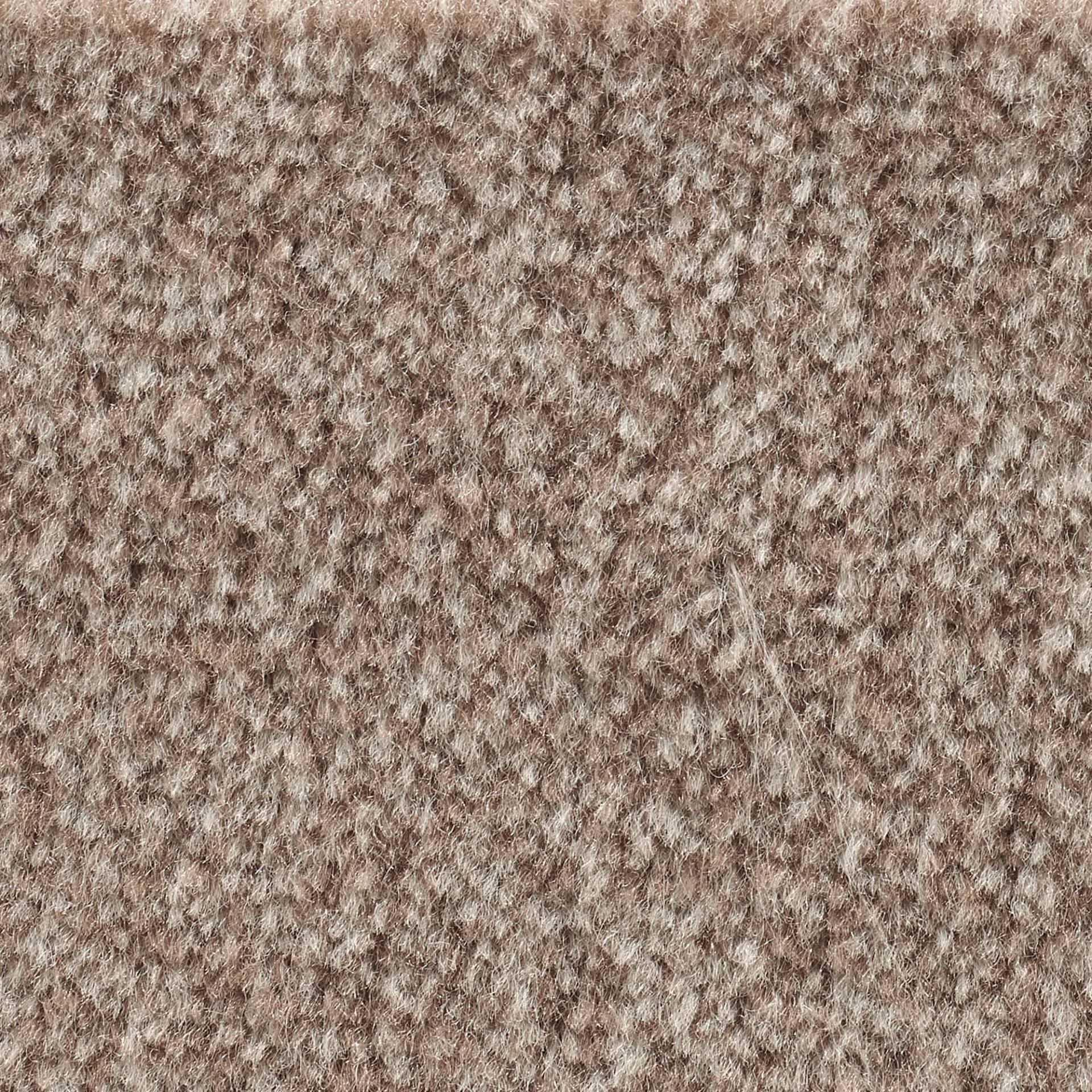 Bodenmeister Teppichboden »Jupiter, Velours - meliert«, rechteckig, 7,5 mm Höhe, Wohnzimmer, Schlafzimmer, Kinderzimmer, Breite 400/500 cm Bodenmeister Teppichboden »Jupiter, Velours - meliert«, rechteckig, 7,5 mm Höhe, Wohnzimmer, Schlafzimmer, Kinderzimmer, Breite 400/500 cm von Bodenmeister
