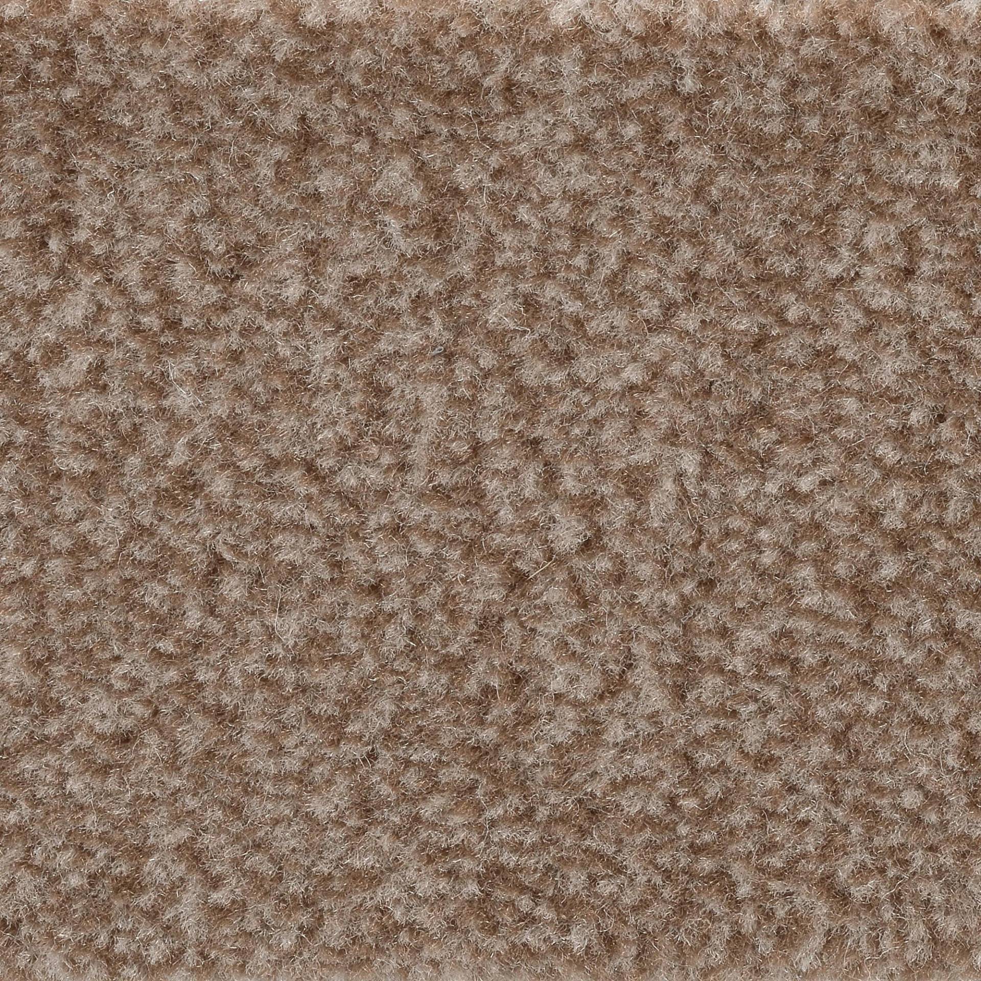 Bodenmeister Teppichboden »Jupiter, Velours - meliert«, rechteckig, 7,5 mm Höhe, Wohnzimmer, Schlafzimmer, Kinderzimmer, Breite 400/500 cm Bodenmeister Teppichboden »Jupiter, Velours - meliert«, rechteckig, 7,5 mm Höhe, Wohnzimmer, Schlafzimmer, Kinderzimmer, Breite 400/500 cm von Bodenmeister