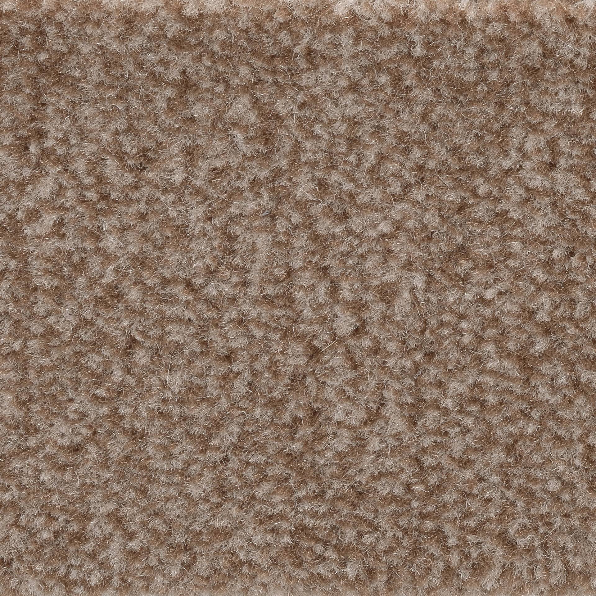 Bodenmeister Teppichboden »Jupiter, Velours - meliert«, rechteckig, 7,5 mm Höhe, Wohnzimmer, Schlafzimmer, Kinderzimmer, Breite 400/500 cm Bodenmeister Teppichboden »Jupiter, Velours - meliert«, rechteckig, 7,5 mm Höhe, Wohnzimmer, Schlafzimmer, Kinderzimmer, Breite 400/500 cm von Bodenmeister