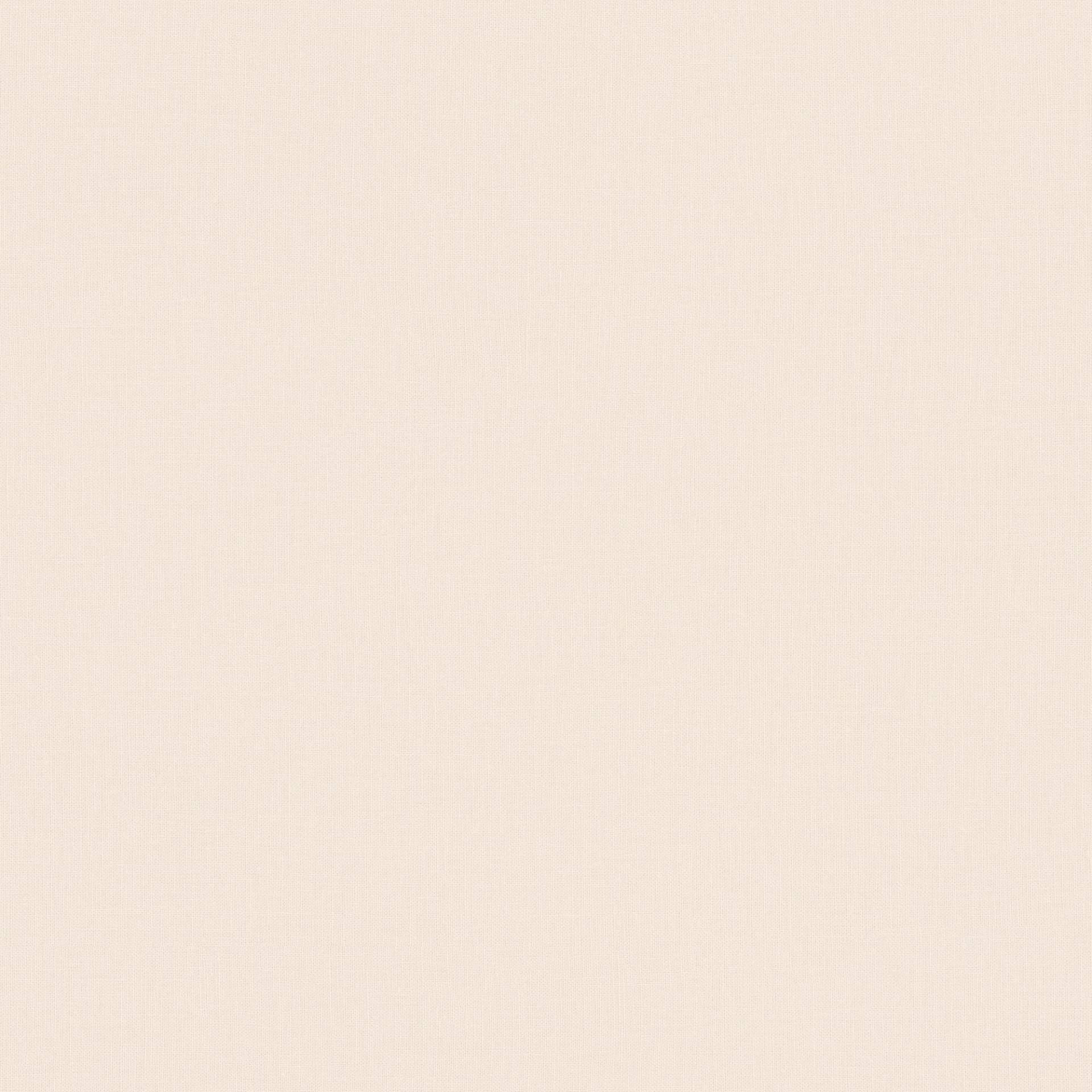 Bodenmeister Vliestapete »uni creme beige« Bodenmeister Vliestapete »uni creme beige« von Bodenmeister