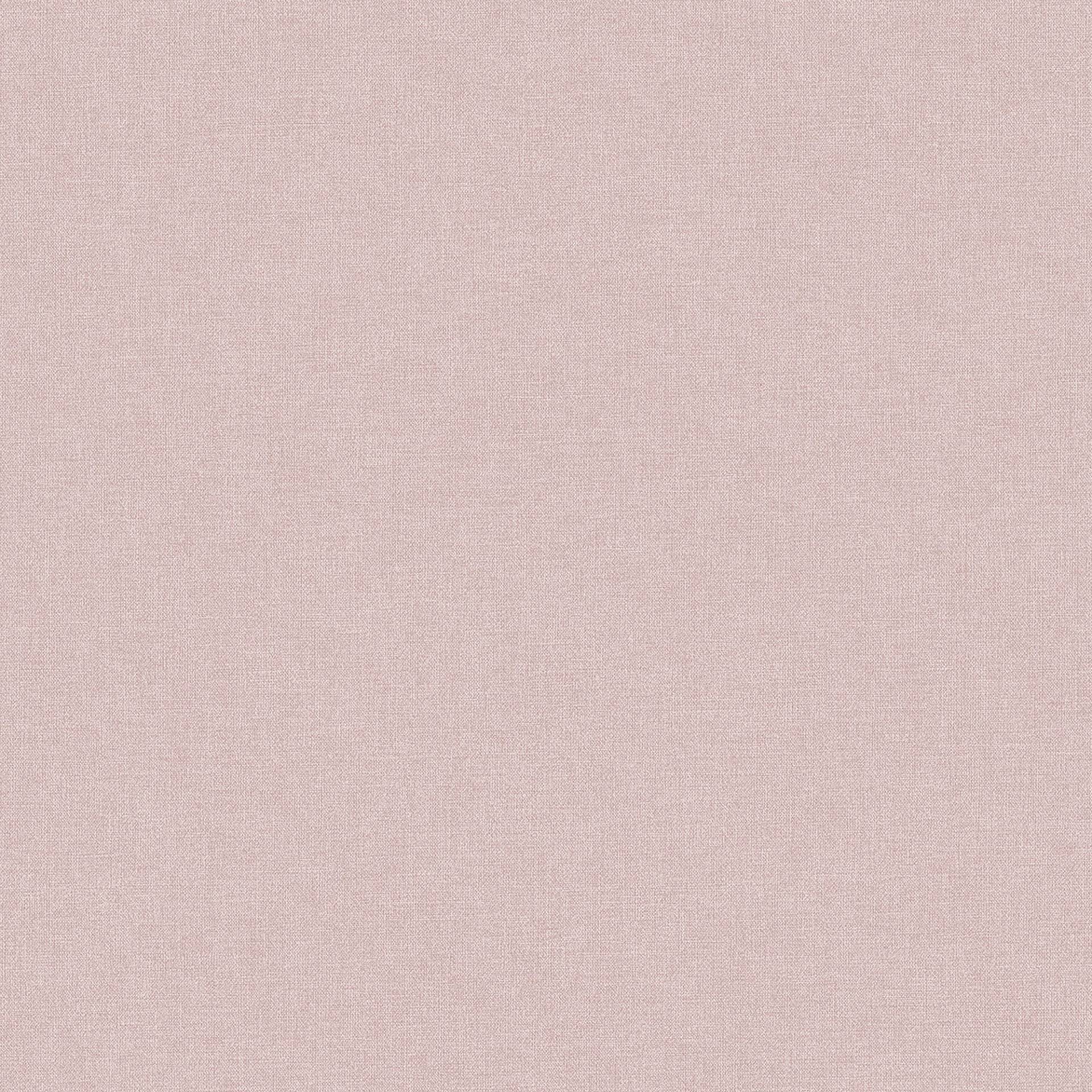 Bodenmeister Vliestapete »uni rosa« Bodenmeister Vliestapete »uni rosa« von Bodenmeister