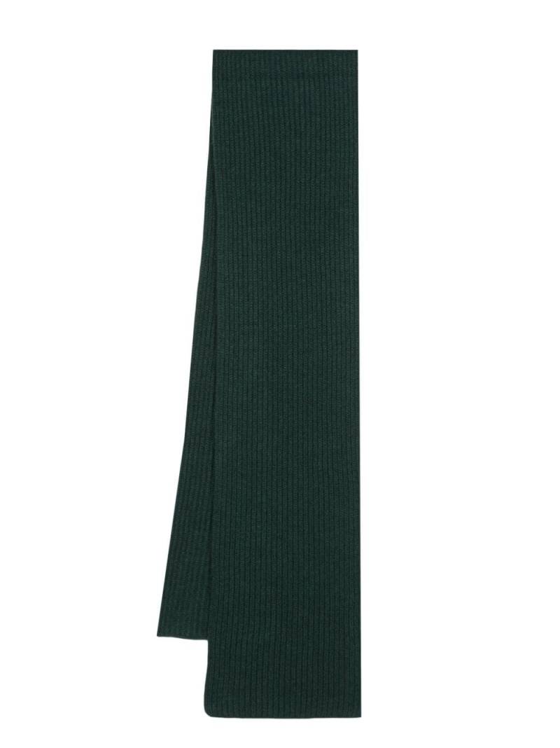 Boglioli ribbed-knit cashmere scarf - Green von Boglioli