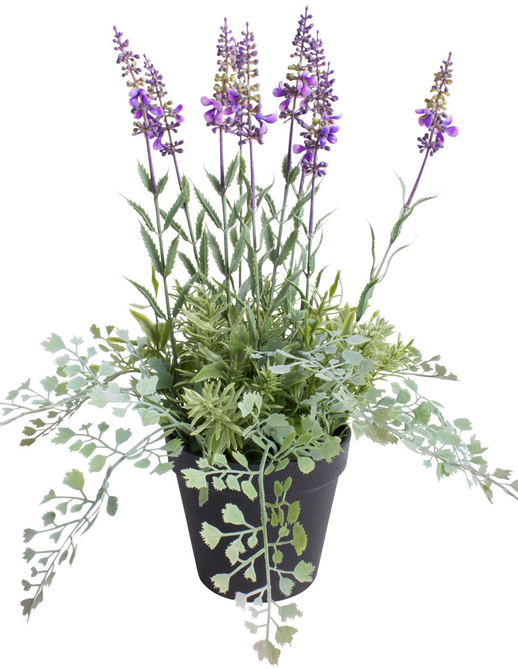 Botanic-Haus Künstliche Zimmerpflanze »Lavendel - Kräutertopf« von Botanic-Haus
