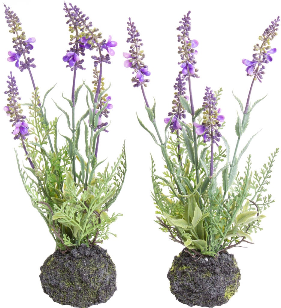 Botanic-Haus Künstliche Zimmerpflanze »Lavendel« Botanic-Haus Künstliche Zimmerpflanze »Lavendel« von Botanic-Haus