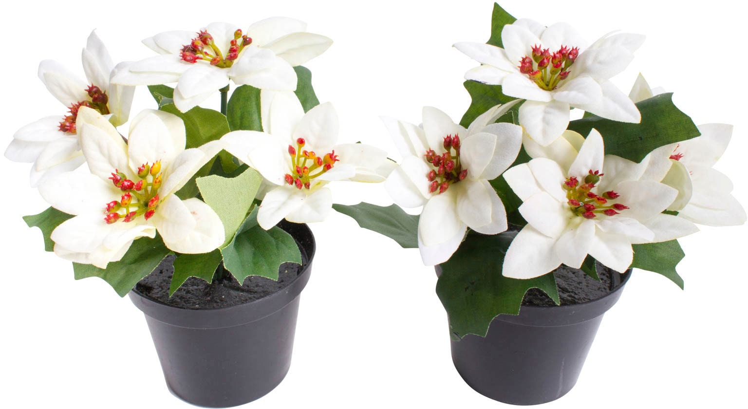 Botanic-Haus Künstliche Zimmerpflanze »Mini-Poinsettie im Kunststofftopf« von Botanic-Haus