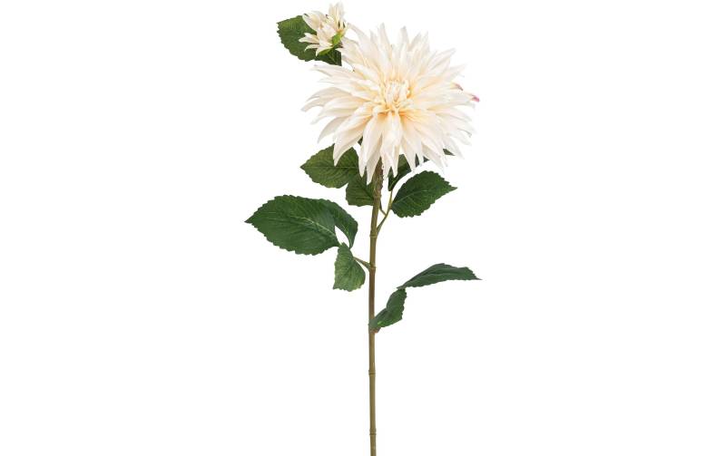 Botanic-Haus Kunstblume »Dahlie, 85 cm« von Botanic-Haus