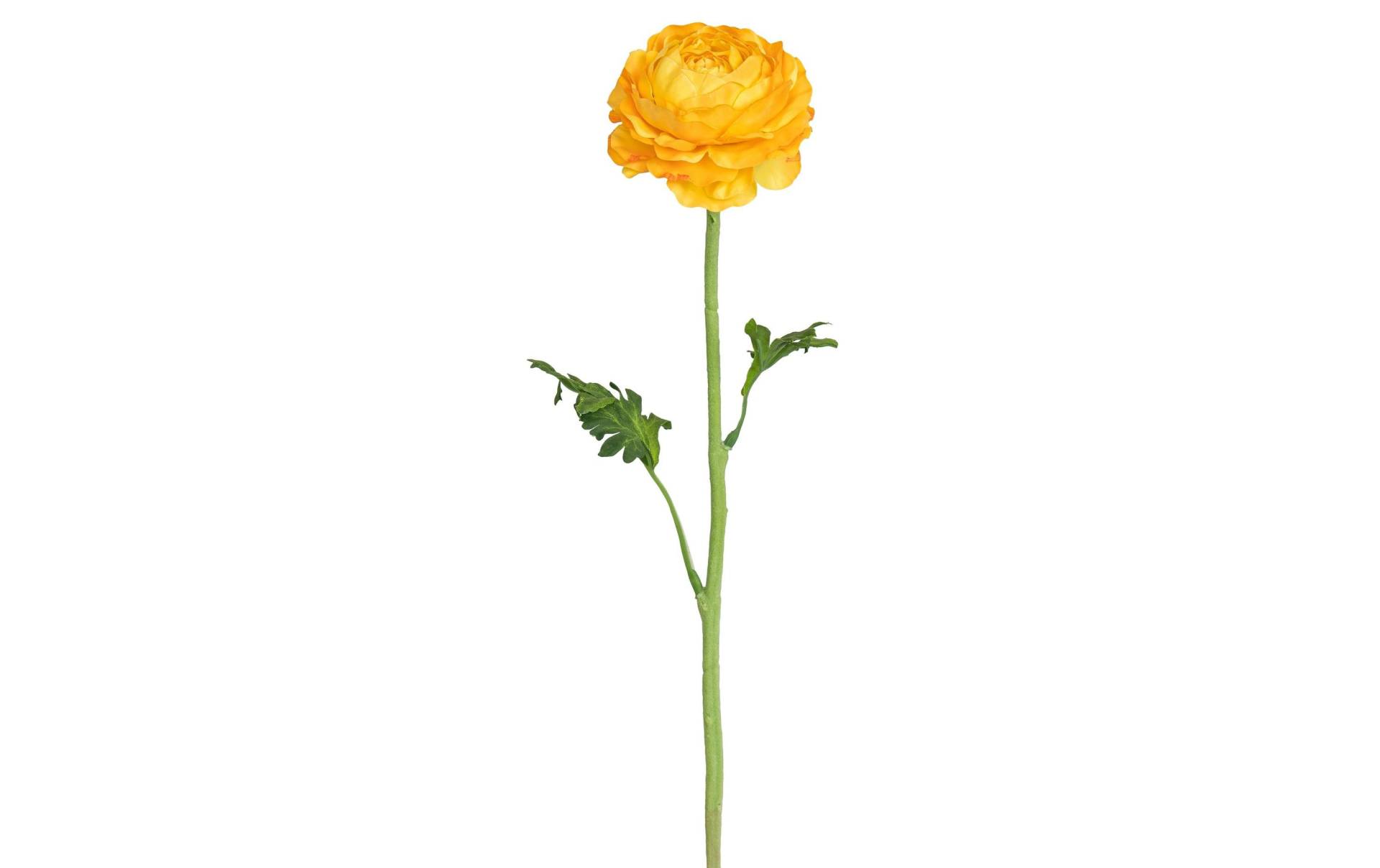 Botanic-Haus Kunstblume »Ranunkel 50 cm« von Botanic-Haus