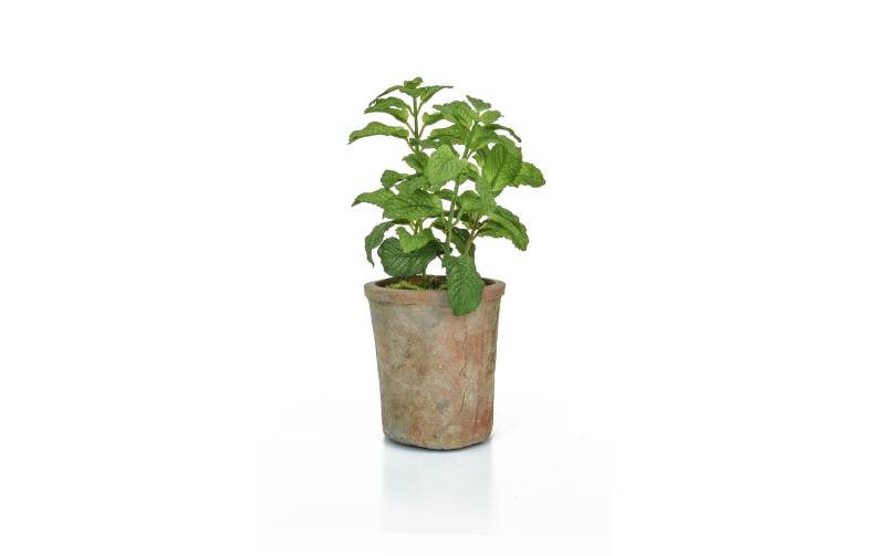 Botanic-Haus Kunstblume »Pfefferminz im Topf 27 cm« von Botanic-Haus