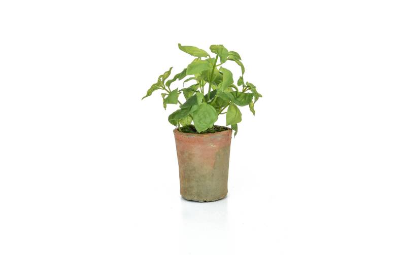 Botanic-Haus Kunstblume »Basilikum im Topf 28 cm« von Botanic-Haus