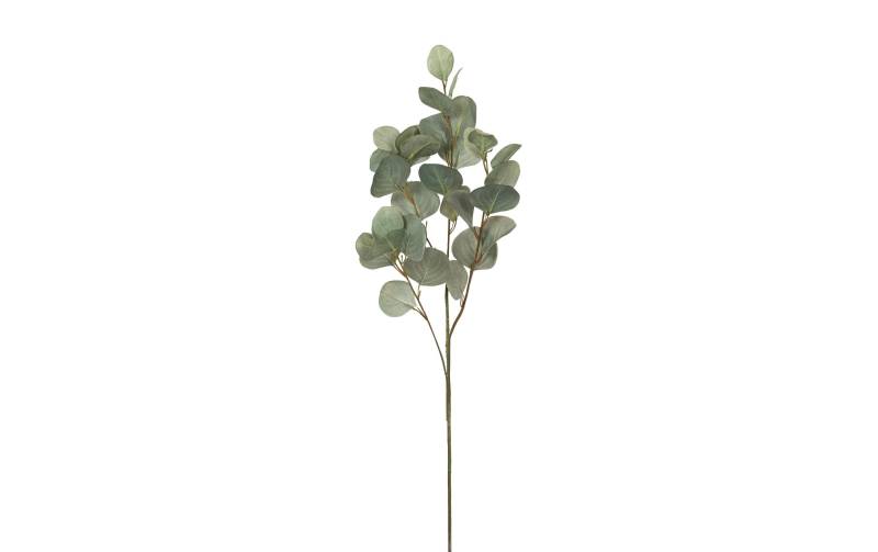 Botanic-Haus Kunstblume »Eukalyptuszweig 87 cm« von Botanic-Haus