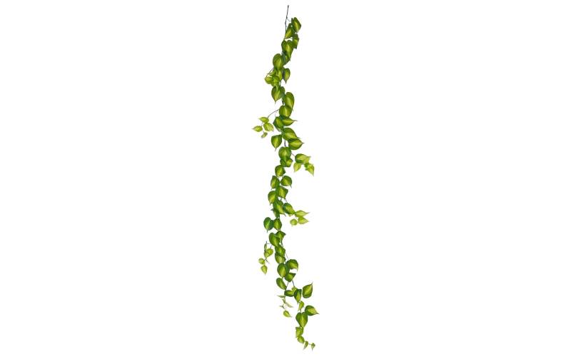 Botanic-Haus Kunstblume »Philodendron Scandens Brasil 180 cm« von Botanic-Haus