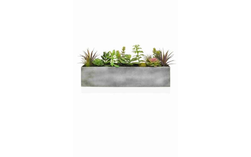 Botanic-Haus Kunstblume »Sukkulent-bepfl 50 cm« von Botanic-Haus