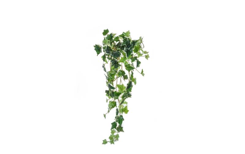 Botanic-Haus Kunstblume »Efeubusch 70 cm« von Botanic-Haus
