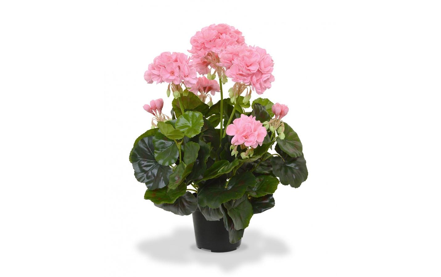 Botanic-Haus Kunstblume »Geranien in Topf 40 cm« von Botanic-Haus