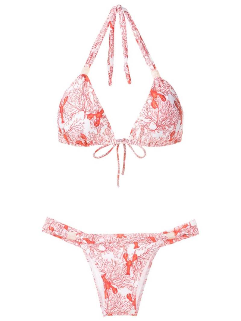 Brigitte sea life-print bikini set - Red von Brigitte