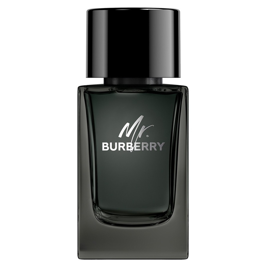 BURBERRY Mr. Burberry BURBERRY Mr. Burberry eau_de_parfum 100.0 ml von Burberry