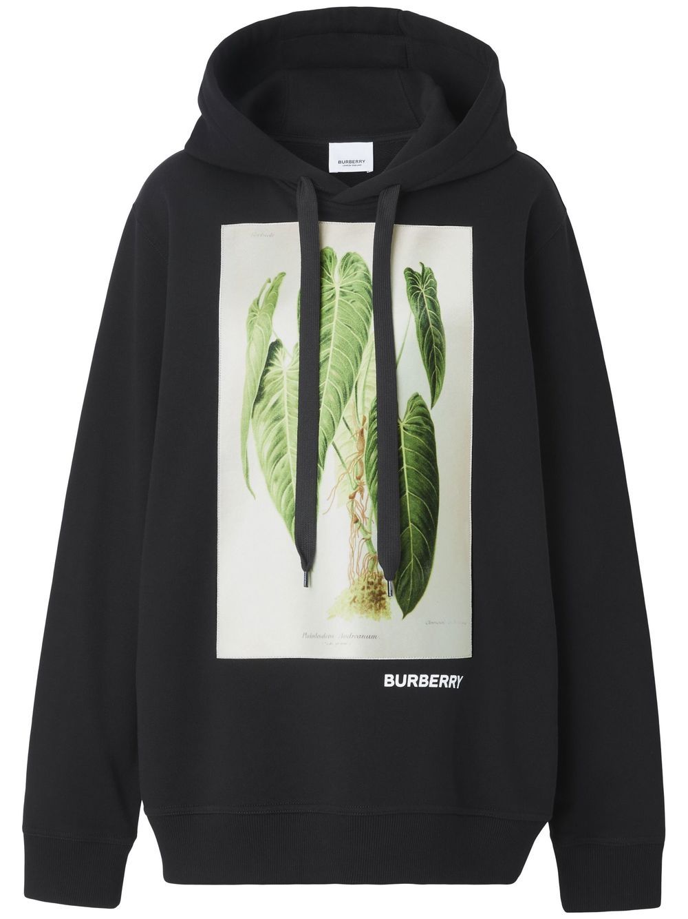 Burberry botanical sketch hoodie - Black von Burberry