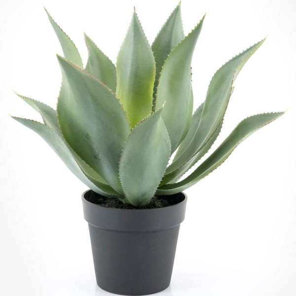 Kunstpflanze Agave large von By-Boo
