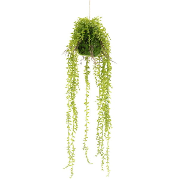 Kunstpflanze Hanging ficus von By-Boo