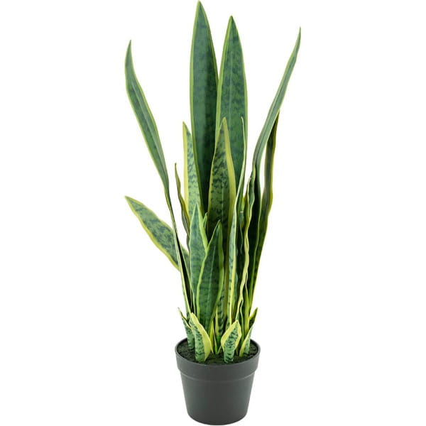 Kunstpflanze Sansevieria medium von By-Boo