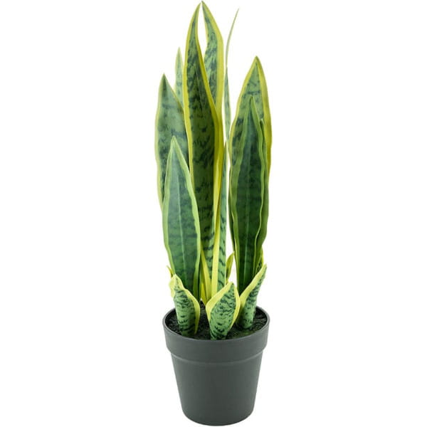 Kunstpflanze Sansevieria small von By-Boo